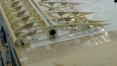 Teil 3, Details am Flügel der Hütter H17