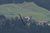 Pace 4.9 VX, Lesky-Composite